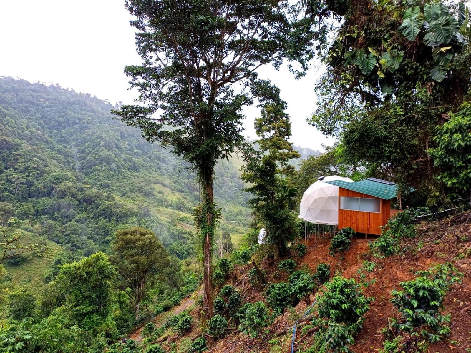 Hotel Rivel - Restaurant & Nature Retreat Turrialba Eksteriør bilde