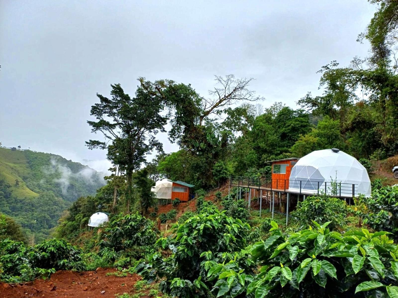 Hotel Rivel - Restaurant & Nature Retreat Turrialba Eksteriør bilde