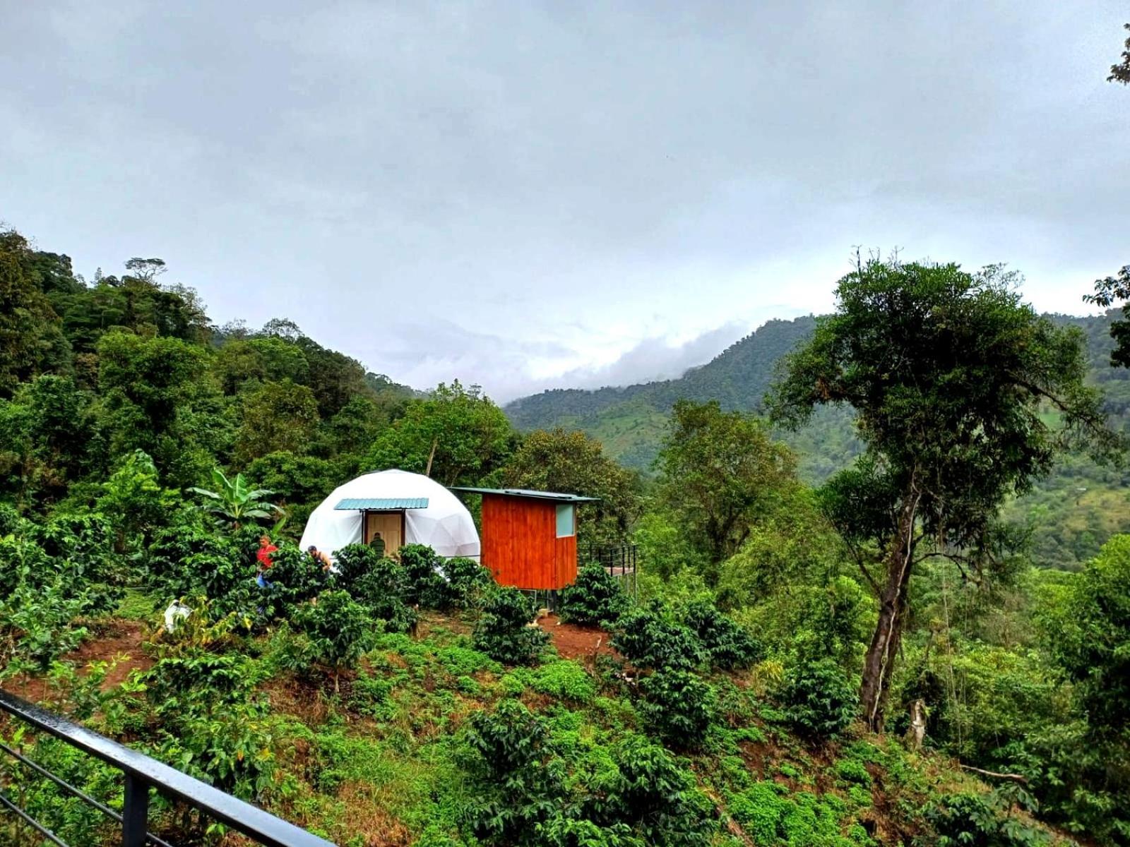 Hotel Rivel - Restaurant & Nature Retreat Turrialba Eksteriør bilde