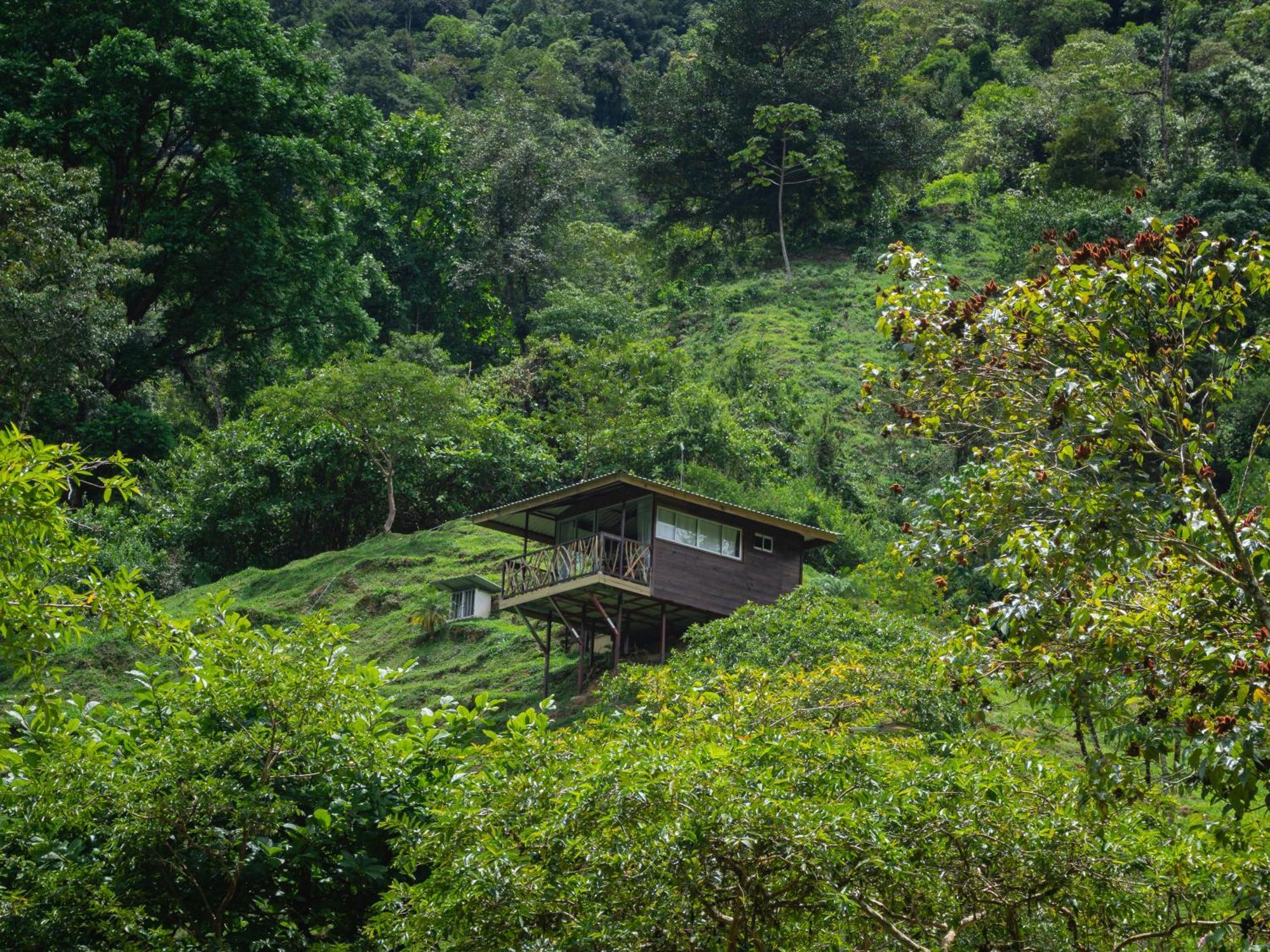 Hotel Rivel - Restaurant & Nature Retreat Turrialba Eksteriør bilde
