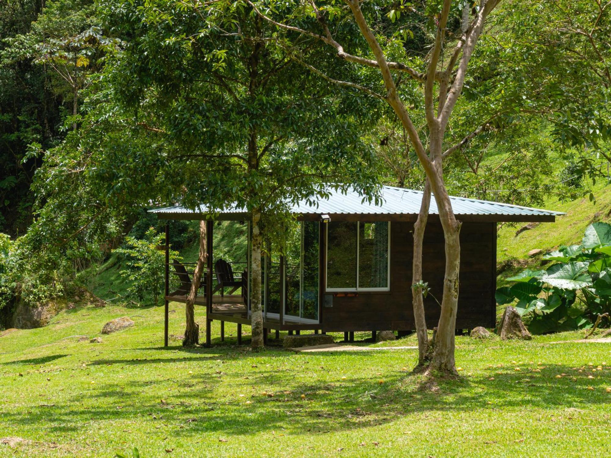 Hotel Rivel - Restaurant & Nature Retreat Turrialba Eksteriør bilde
